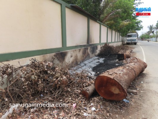 தீ பரவலால் சேதமடைந்த தொலைத்தொடர்பு கேபிள்கள்..! அம்பாறையில் சம்பவம்..!samugammedia 